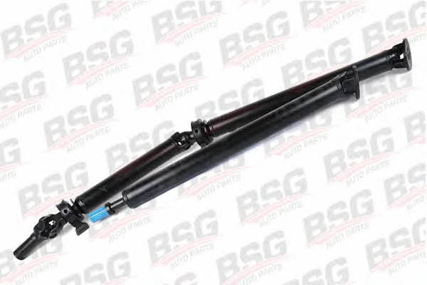 BSG 30-450-002 Propeller shaft 30450002: Buy near me at 2407.PL in Poland at an Affordable price!