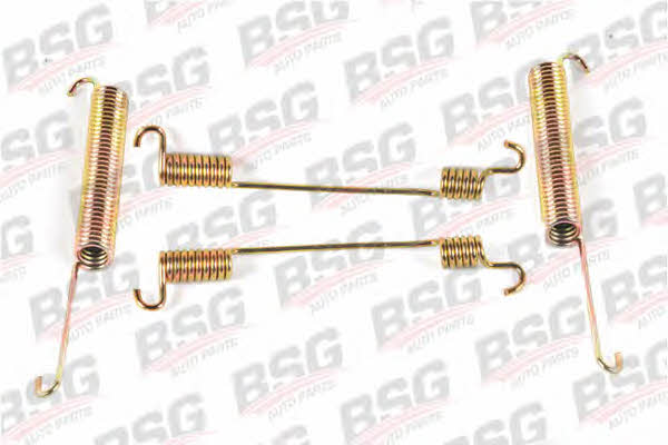 BSG 30-260-001 Montagesatz für Bremsbacken 30260001: Kaufen Sie zu einem guten Preis in Polen bei 2407.PL!
