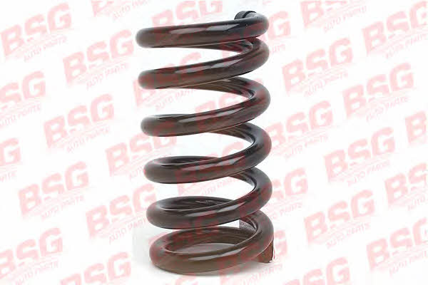BSG 30-305-002 Suspension spring front 30305002: Buy near me in Poland at 2407.PL - Good price!