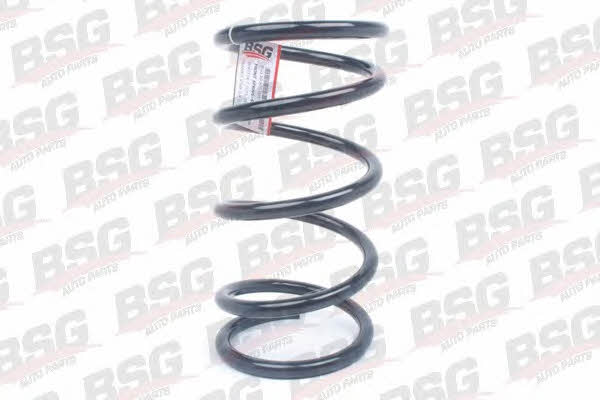 BSG 30-305-003 Suspension spring front 30305003: Buy near me in Poland at 2407.PL - Good price!
