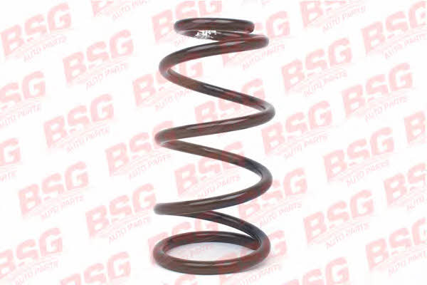 BSG 30-305-005 Suspension spring front 30305005: Buy near me in Poland at 2407.PL - Good price!