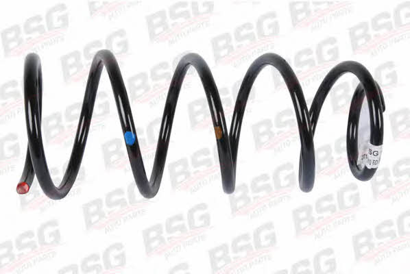 BSG 30-305-006 Suspension spring front 30305006: Buy near me in Poland at 2407.PL - Good price!
