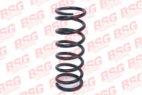 BSG 30-305-008 Suspension spring front 30305008: Buy near me at 2407.PL in Poland at an Affordable price!
