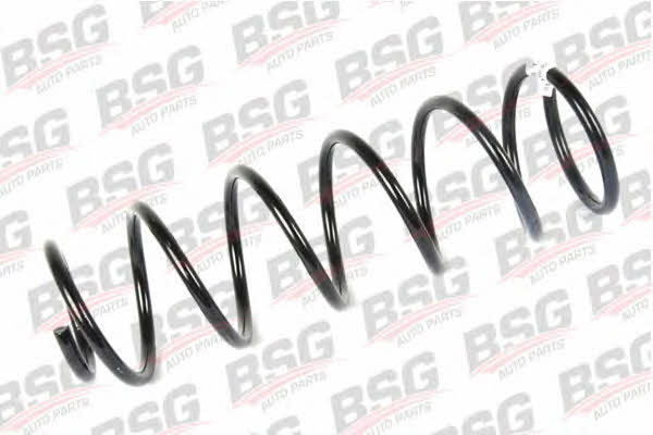 BSG 30-305-012 Suspension spring front 30305012: Buy near me in Poland at 2407.PL - Good price!