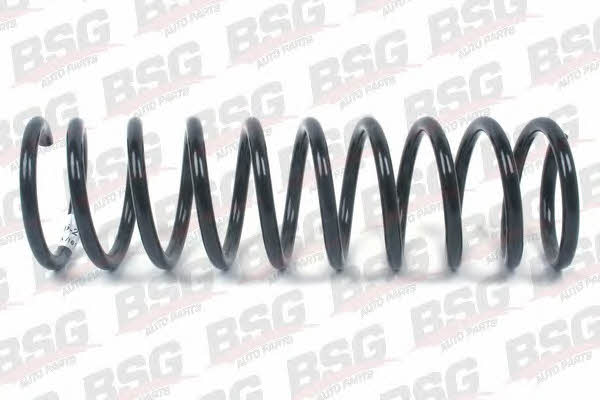 BSG 30-305-013 Suspension spring front 30305013: Buy near me in Poland at 2407.PL - Good price!