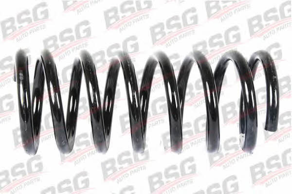 BSG 30-305-014 Coil Spring 30305014: Buy near me in Poland at 2407.PL - Good price!
