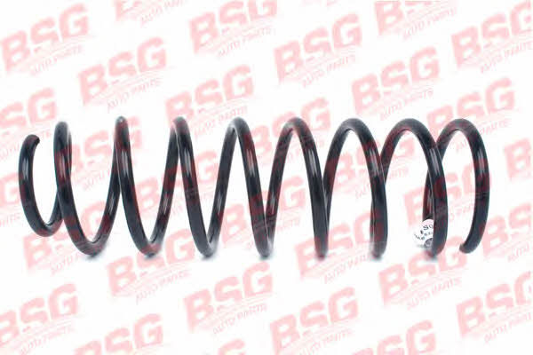 BSG 30-305-015 Suspension spring front 30305015: Buy near me in Poland at 2407.PL - Good price!