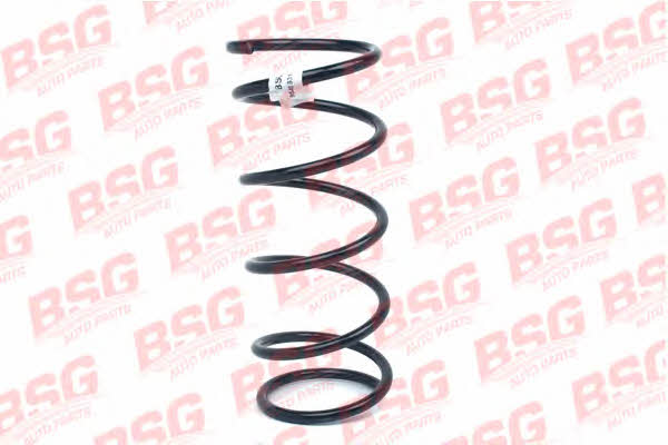 BSG 30-305-017 Suspension spring front 30305017: Buy near me in Poland at 2407.PL - Good price!