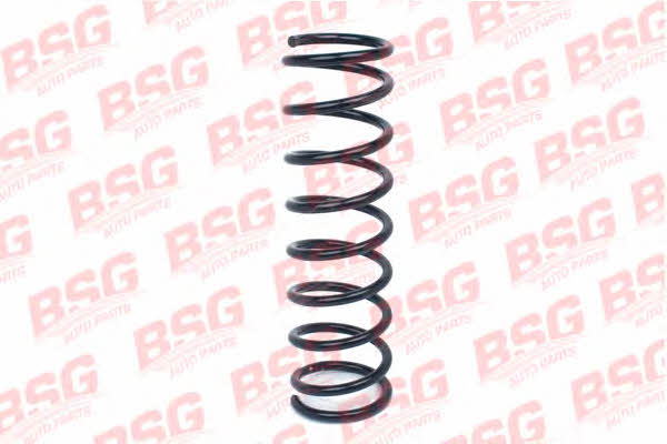 BSG 30-305-020 Coil Spring 30305020: Buy near me in Poland at 2407.PL - Good price!