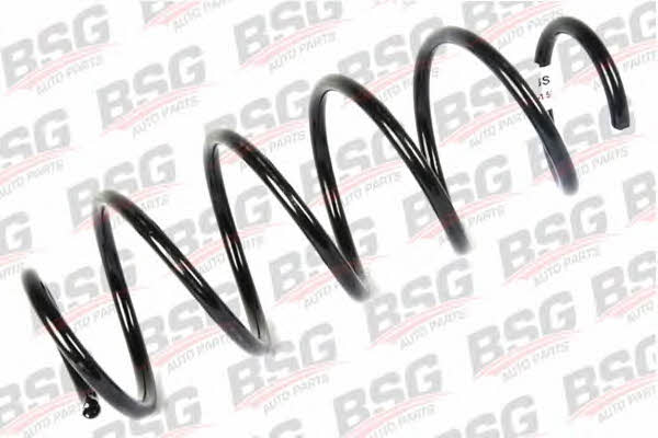 BSG 30-305-021 Suspension spring front 30305021: Buy near me in Poland at 2407.PL - Good price!