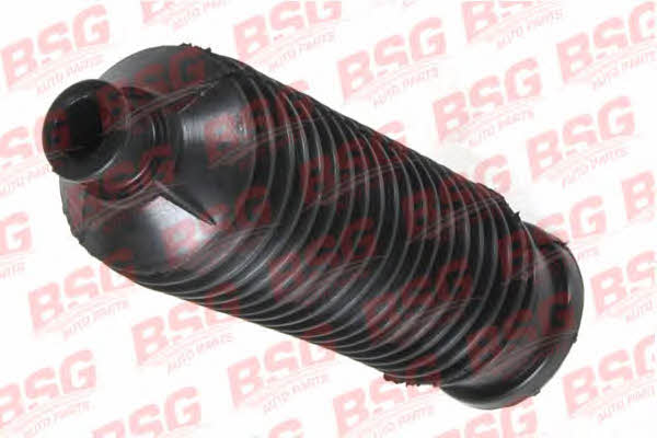 BSG 30-705-041 Пыльник рулевой рейки, комплект 30705041: Отличная цена - Купить в Польше на 2407.PL!