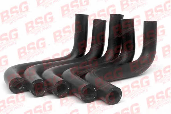 BSG 30-720-022 Breather Hose for crankcase 30720022: Buy near me in Poland at 2407.PL - Good price!