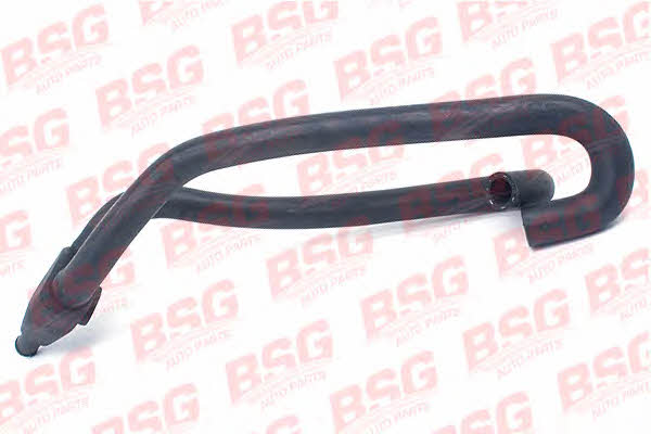 BSG 30-720-039 Heating hose 30720039: Buy near me in Poland at 2407.PL - Good price!