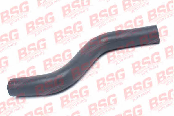 BSG 30-720-068 Charger Air Hose 30720068: Buy near me in Poland at 2407.PL - Good price!