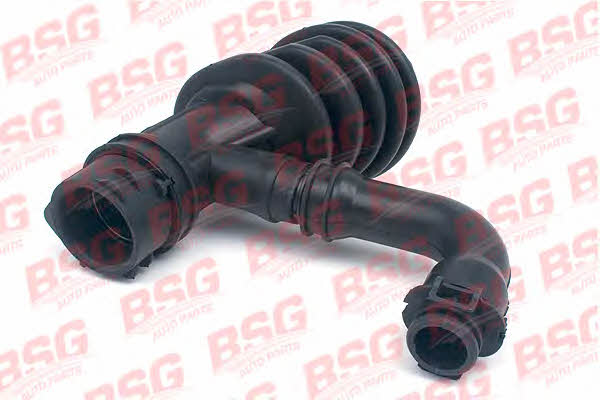 BSG 30-720-093 Inlet pipe 30720093: Buy near me in Poland at 2407.PL - Good price!