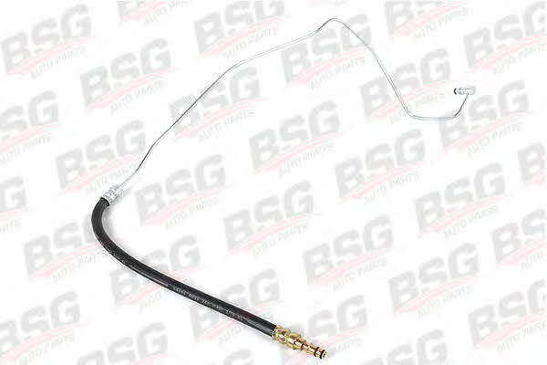 BSG 30-725-001 Clutch hose 30725001: Buy near me at 2407.PL in Poland at an Affordable price!