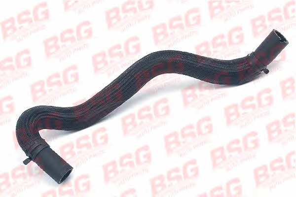 BSG 30-725-054 High pressure hose with ferrules 30725054: Buy near me at 2407.PL in Poland at an Affordable price!