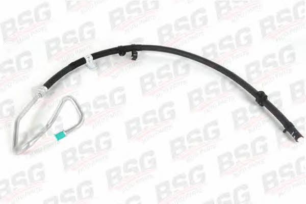 BSG 30-725-055 High pressure hose with ferrules 30725055: Buy near me in Poland at 2407.PL - Good price!
