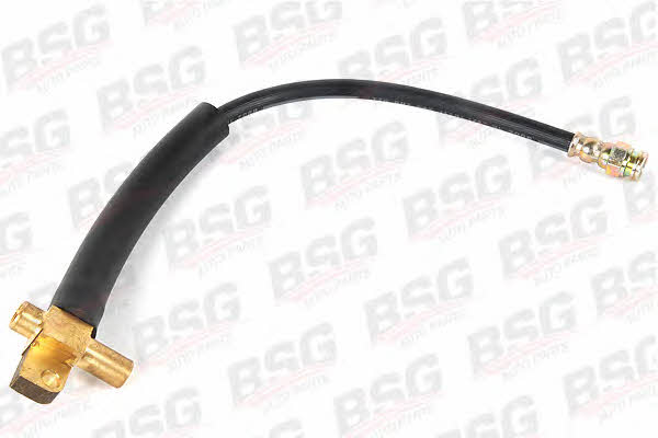 BSG 30-730-009 Brake Hose 30730009: Buy near me in Poland at 2407.PL - Good price!