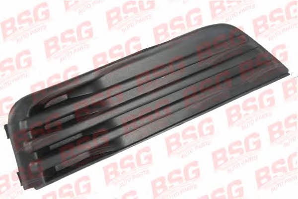 BSG 30-921-004 Облицовка переднего бампера 30921004: Отличная цена - Купить в Польше на 2407.PL!