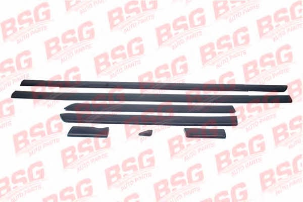 BSG 30-924-057 Trim/Protective Strip, door 30924057: Buy near me in Poland at 2407.PL - Good price!