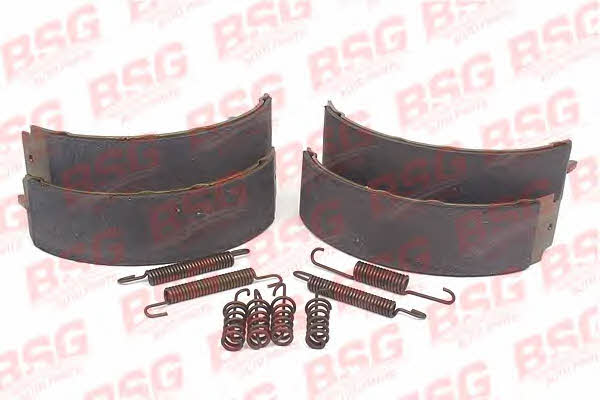 BSG 60-205-003 Parking brake shoes 60205003: Buy near me in Poland at 2407.PL - Good price!