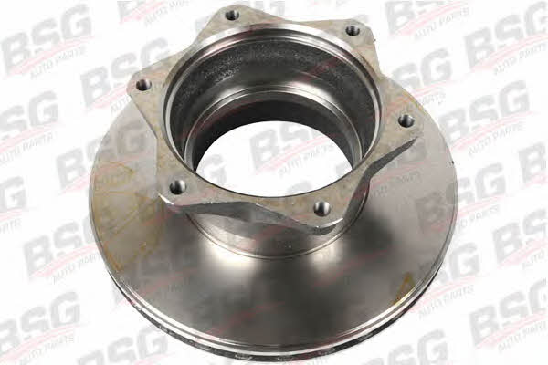BSG 60-210-001 Rear ventilated brake disc 60210001: Buy near me in Poland at 2407.PL - Good price!