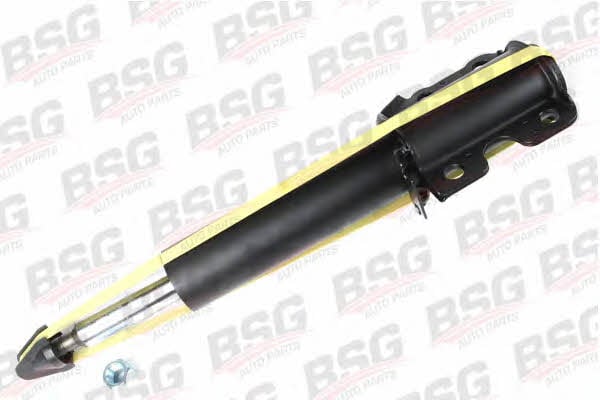 BSG 60-300-001 Front oil and gas suspension shock absorber 60300001: Buy near me in Poland at 2407.PL - Good price!
