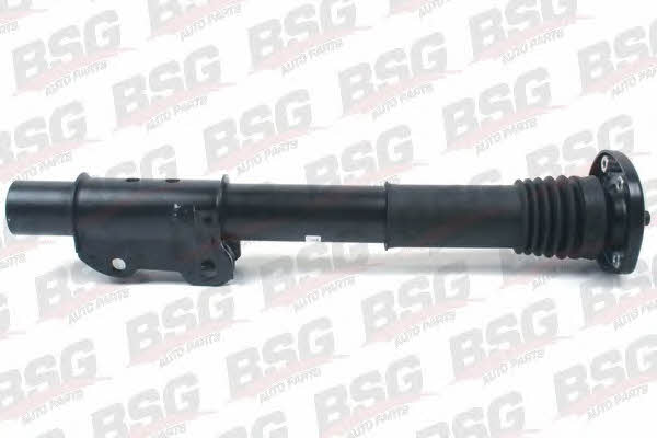 BSG 60-300-020 Gasöl-Federdämpfer vorne 60300020: Kaufen Sie zu einem guten Preis in Polen bei 2407.PL!