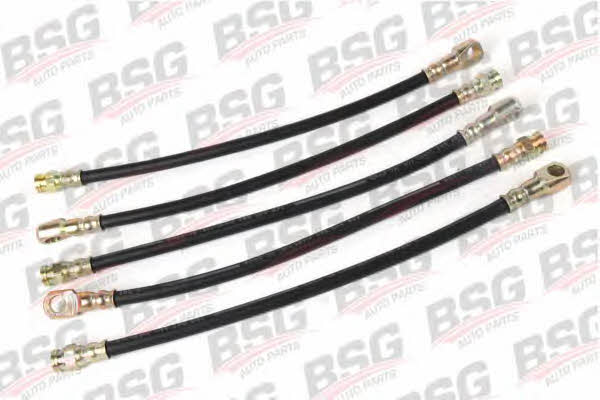 BSG 60-730-008 Przewód hamulcowy elastyczny 60730008: Atrakcyjna cena w Polsce na 2407.PL - Zamów teraz!