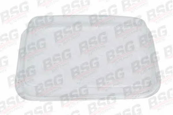 BSG 60-801-005 Diffusing Lens, headlight 60801005: Buy near me in Poland at 2407.PL - Good price!