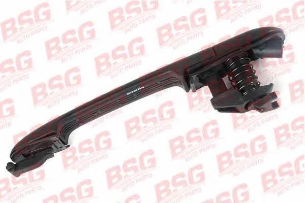 BSG 60-970-001 Handle-assist 60970001: Buy near me in Poland at 2407.PL - Good price!