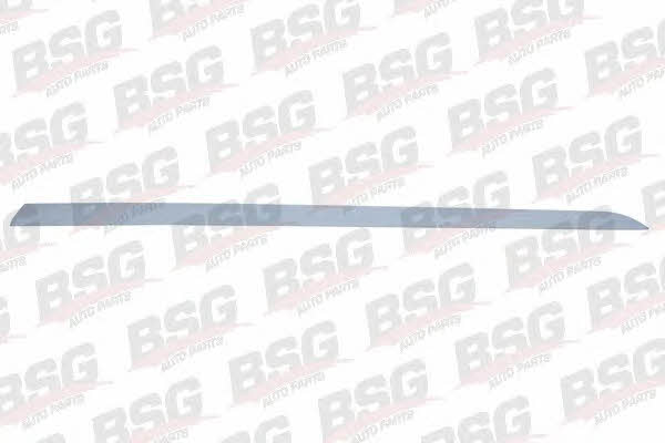 BSG 65-924-002 Trim/Protective Strip, door 65924002: Buy near me at 2407.PL in Poland at an Affordable price!
