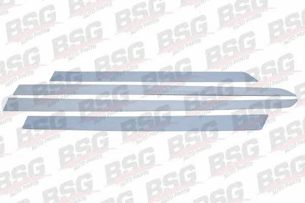 BSG 65-924-005 Комплект облицовки защитной накладки 65924005: Отличная цена - Купить в Польше на 2407.PL!