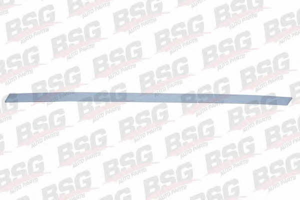 BSG 65-924-008 Trim/Protective Strip, door 65924008: Buy near me at 2407.PL in Poland at an Affordable price!