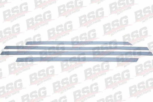 BSG 65-924-010 Комплект облицовки защитной накладки 65924010: Купить в Польше - Отличная цена на 2407.PL!