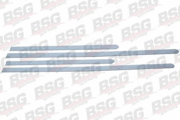 BSG 65-924-025 Комплект облицовки защитной накладки 65924025: Отличная цена - Купить в Польше на 2407.PL!