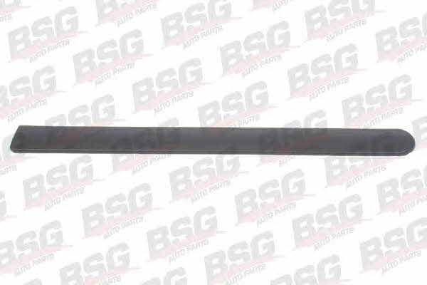 BSG 65-924-029 Trim/Protective Strip, door 65924029: Buy near me in Poland at 2407.PL - Good price!