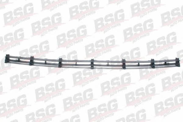 BSG 65-927-001 Front bumper grill 65927001: Buy near me in Poland at 2407.PL - Good price!