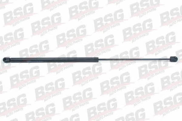 BSG 65-980-008 Gas hood spring 65980008: Buy near me in Poland at 2407.PL - Good price!