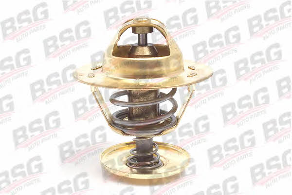 BSG 30-125-002 Thermostat housing 30125002: Buy near me in Poland at 2407.PL - Good price!