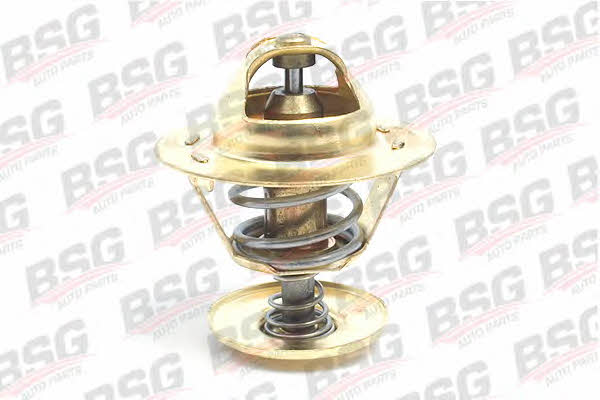 BSG 30-125-003 Thermostat housing 30125003: Buy near me in Poland at 2407.PL - Good price!