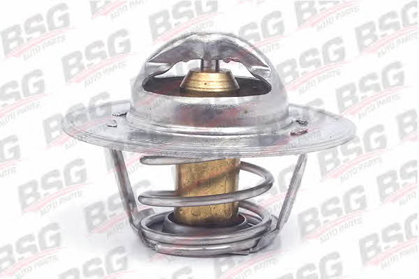 BSG 30-125-015 Thermostat housing 30125015: Buy near me in Poland at 2407.PL - Good price!