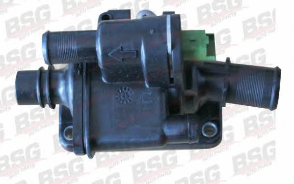 BSG 30-126-009 Thermostat housing 30126009: Buy near me in Poland at 2407.PL - Good price!