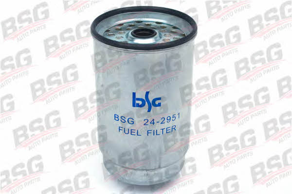 BSG 30-130-001 Filtr paliwa 30130001: Dobra cena w Polsce na 2407.PL - Kup Teraz!