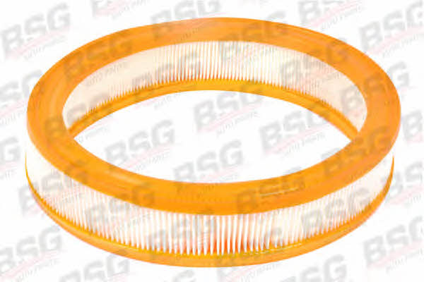 BSG 30-135-013 Air filter 30135013: Buy near me in Poland at 2407.PL - Good price!