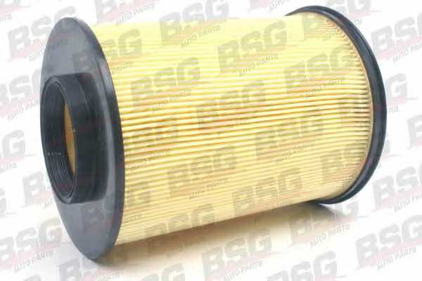 BSG 30-135-014 Air filter 30135014: Buy near me in Poland at 2407.PL - Good price!