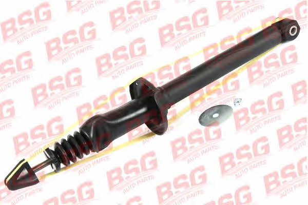 BSG 30-300-017 Rear oil and gas suspension shock absorber 30300017: Buy near me in Poland at 2407.PL - Good price!