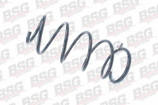 BSG 30-305-022 Suspension spring front 30305022: Buy near me in Poland at 2407.PL - Good price!