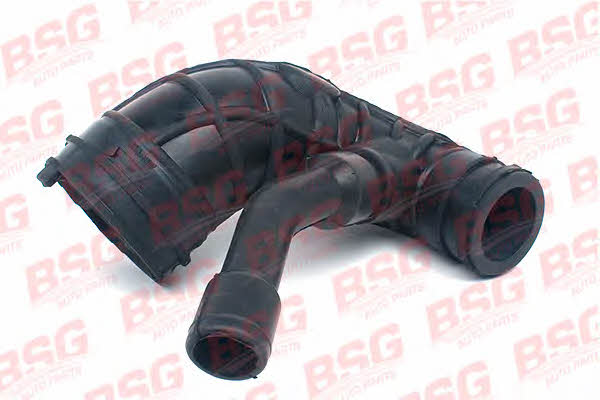 BSG 30-720-045 Inlet pipe 30720045: Buy near me in Poland at 2407.PL - Good price!